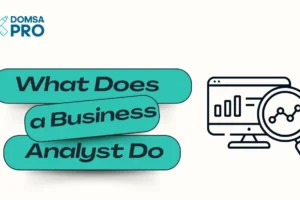 What Does a Business Analyst Do ?