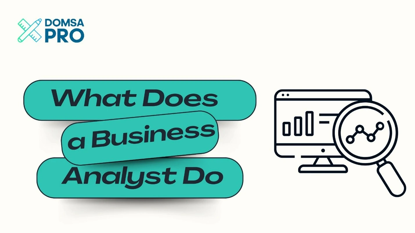 What Does a Business Analyst Do ?